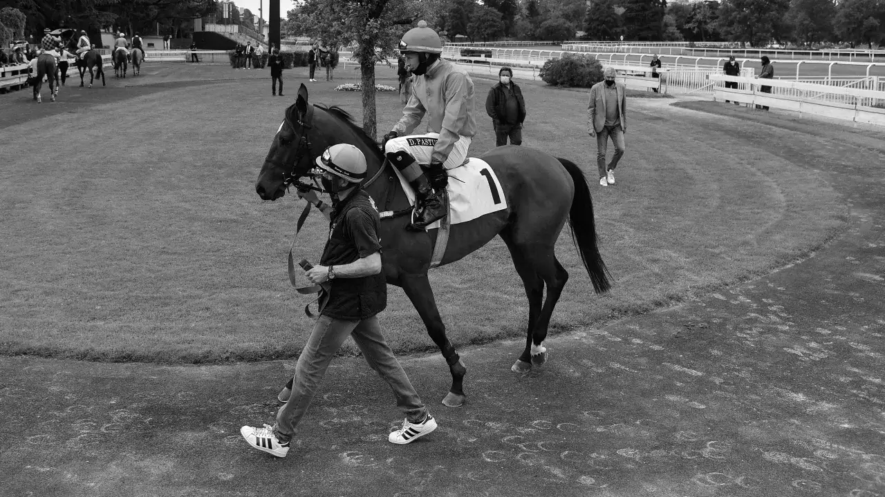 Najważniejsze wydarzenia jeździectwa na Eurosport – co musisz wiedzieć