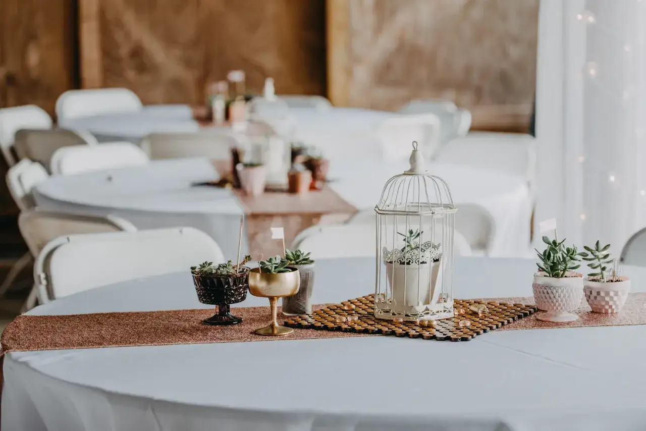 Sufit na wesele: Stwórz magię! Inspiracje, porady, trendy 2026