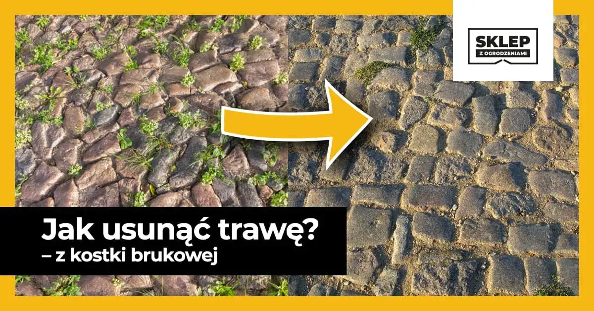 Skuteczne metody na pozbycie się trawy z chodnika bez wysiłku