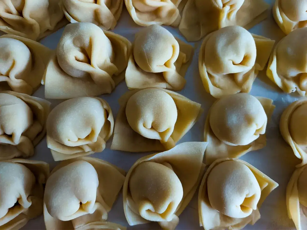 Surowe, ręcznie robione tortellini ułożone na blacie.