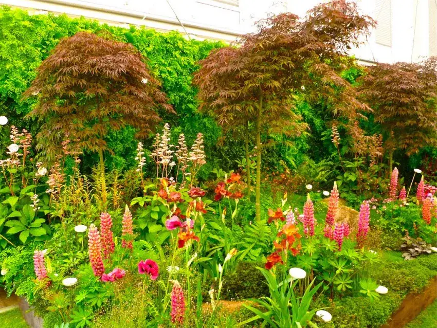 Jak sadzić kwiaty w ogrodzie - proste zasady dla pięknych rabat kwiatowych