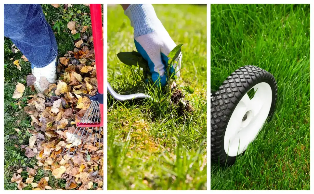 Krok po kroku: jak odnowić trawnik. Grabienie liści, pielenie chwastów i koszenie to klucz do pięknego ogrodu.
