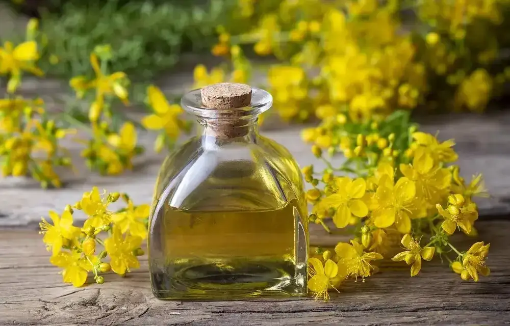 Najlepsze oleje rzepakowe - porównujemy produkty znanych marek [ranking]