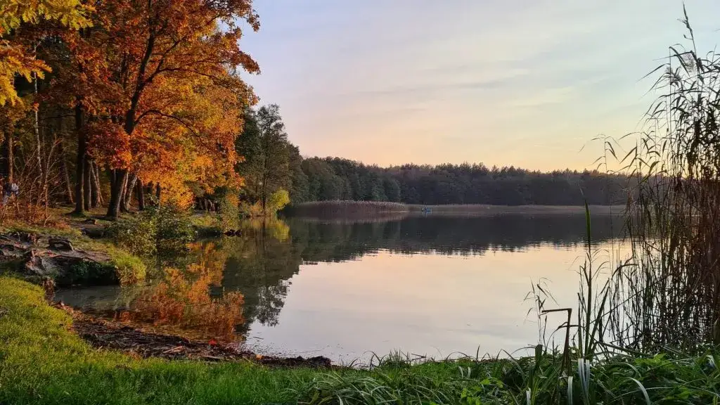 Jezioro Trzechowskie - nieznany raj dla wędkarzy i miłośników przyrody