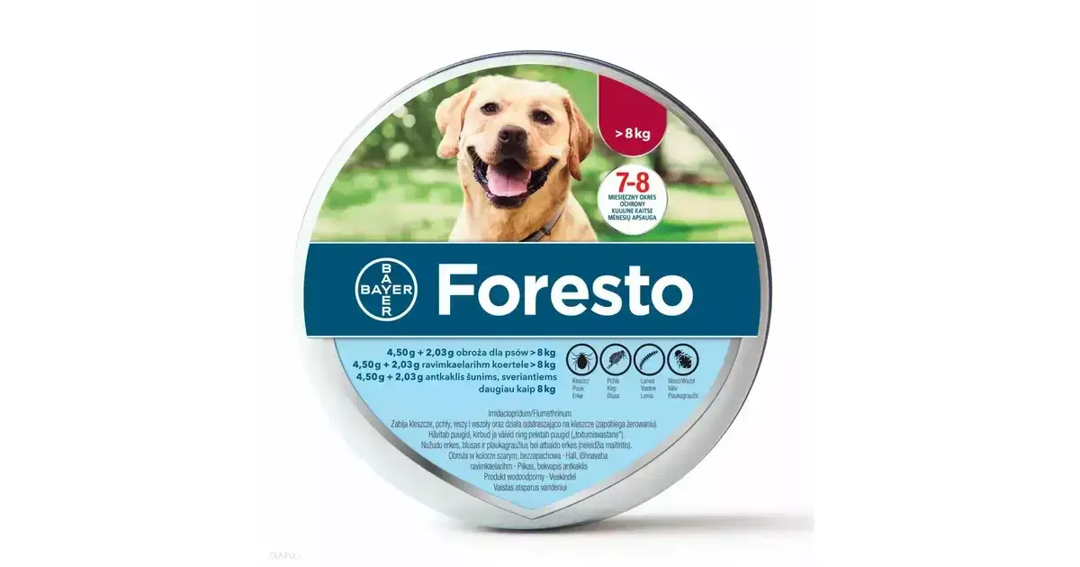 Czy obroża Foresto jest bezpieczna dla ludzi? Uważaj na zagrożenia