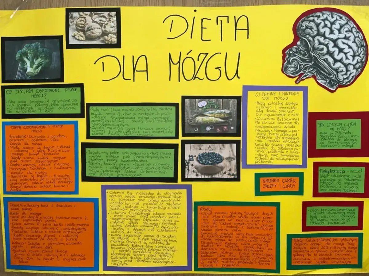 Dieta dla mózgu jadłospis: ryby, orzechy, jagody, warzywa wspierają pamięć i koncentrację. Woda kluczowa dla funkcji mózgu.
