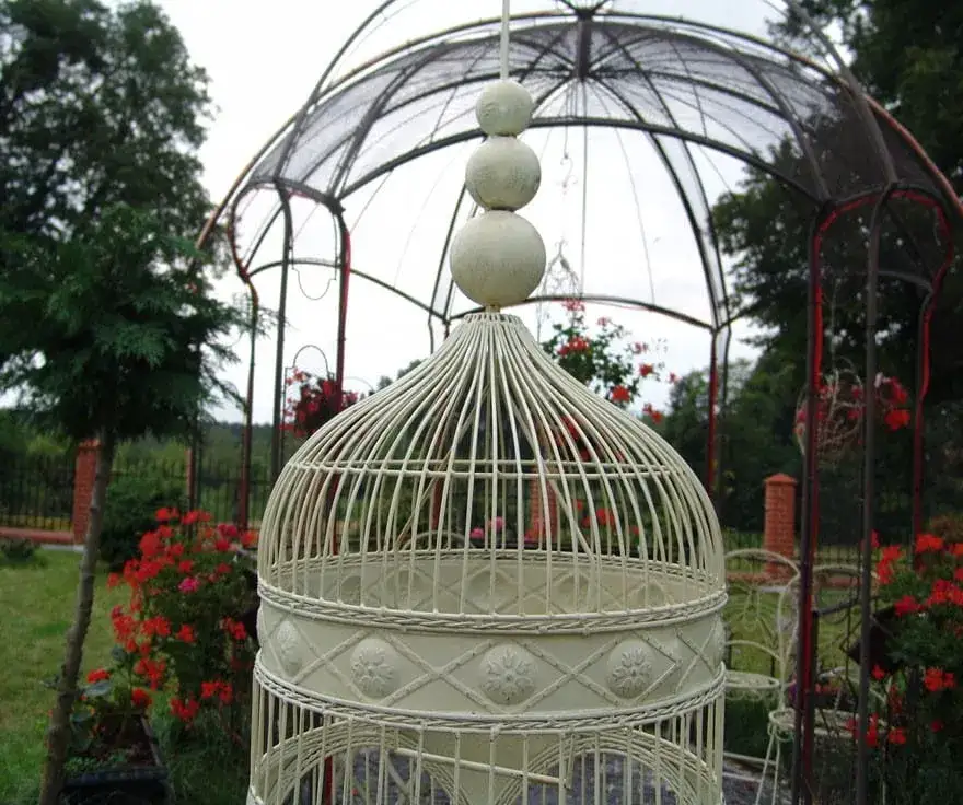 Klatka dla ptaków retro – elegancja i funkcjonalność w jednym