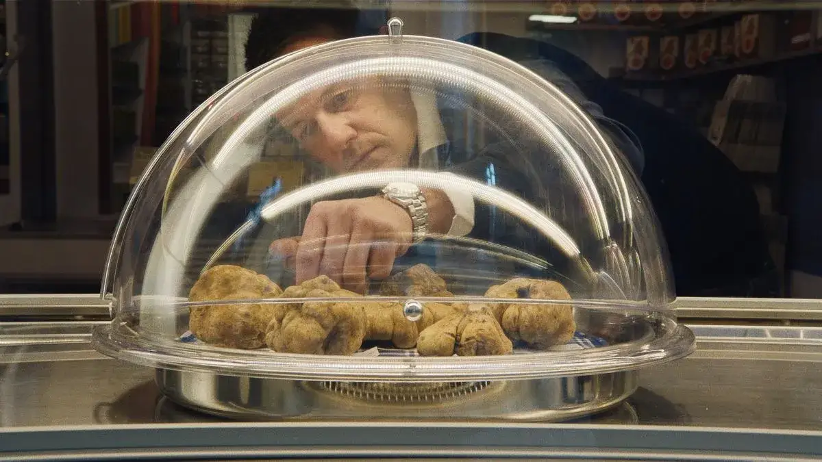 Kiedy jest sezon na trufle? Poznaj najlepsze miesiące na zbiór