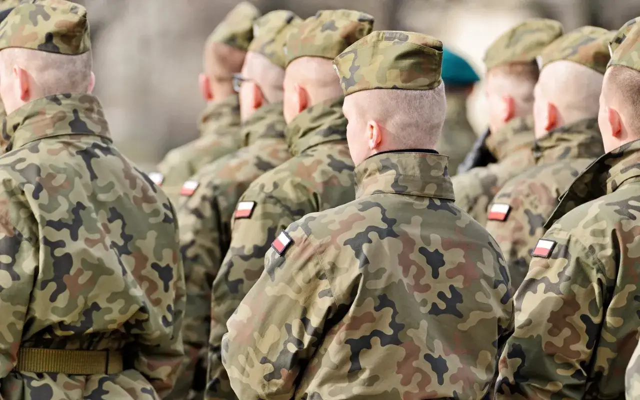 Żołnierze w mundurach polowych stoją w szeregu, widok z tyłu.
