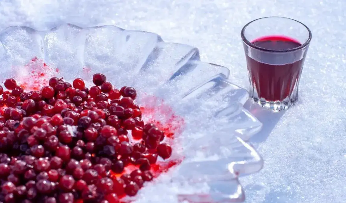 Jak zrobić wino z porzeczek - proste przepisy na domowe wino