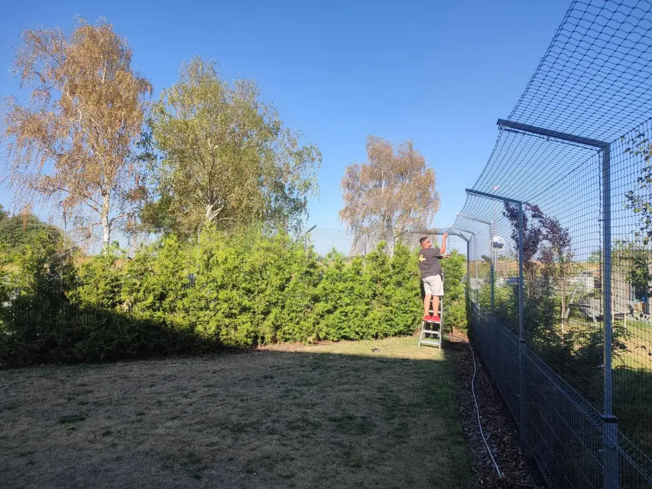 Skuteczne sposoby na zabezpieczenie płotu przed kotem i uniknięcie ucieczek