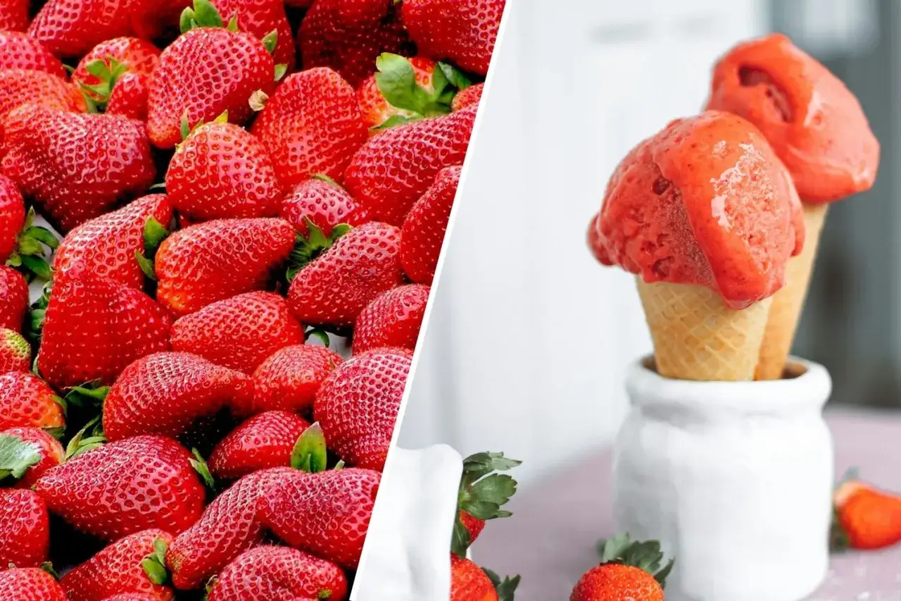 Jak zrobić sorbet truskawkowy z mrożonych truskawek? Na zdjęciu świeże truskawki i gotowy deser w wafelkach.