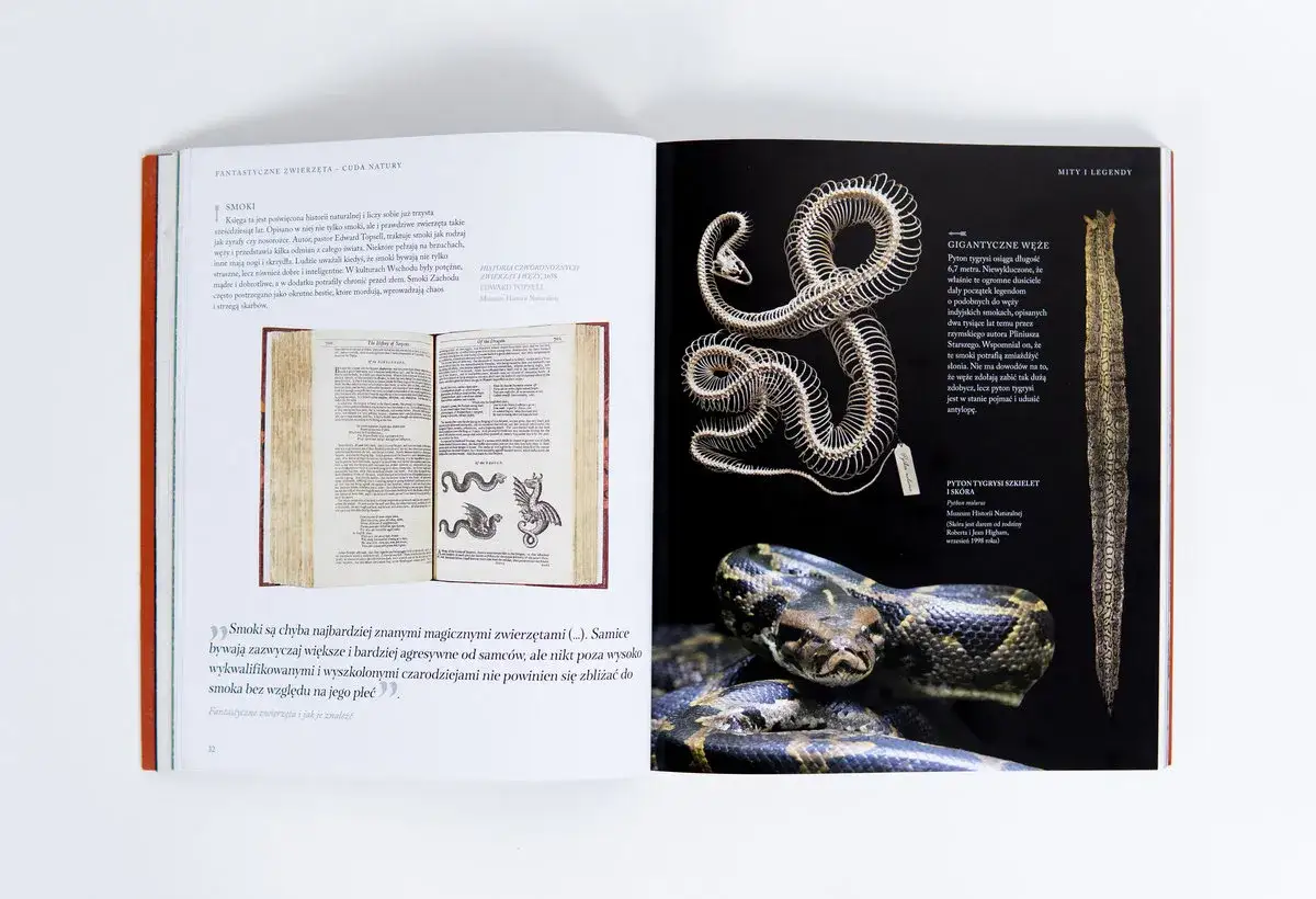 Ile książek Fantastyczne zwierzęta? Pełna lista i kolejność czytania