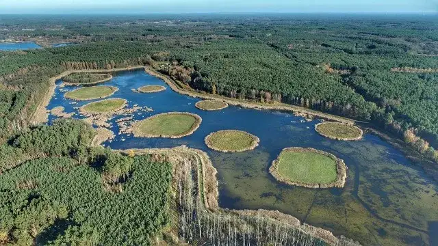 Jezioro Białe Lubuskie – tajemnice, które zaskoczą każdego wędkarza