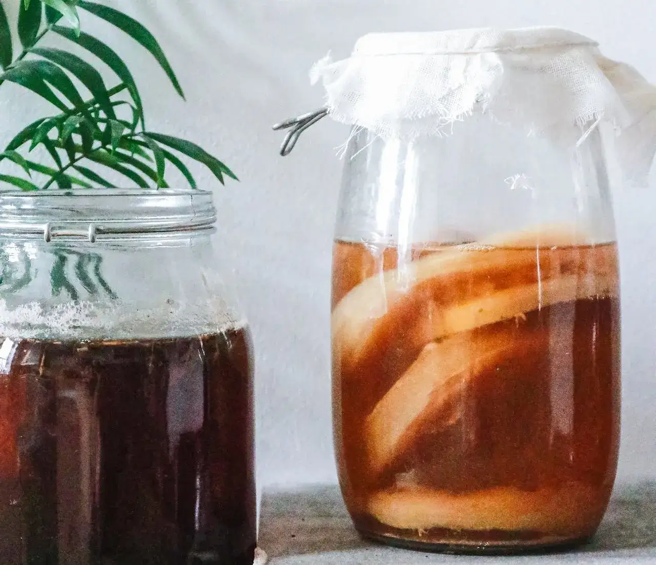 Kombucha skąd pochodzi? Odkryj jej fascynującą historię i korzenie