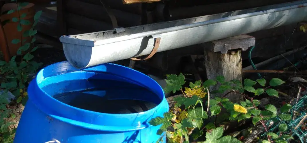 Oszczędzanie wody - jak to robić skutecznie w domu i ogrodzie?