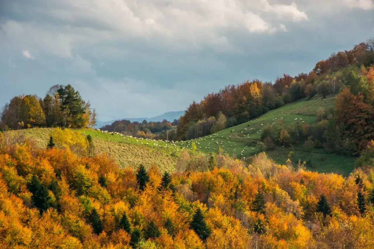 Polskie góry: Co robić? Pomysły na każdą porę i pogodę