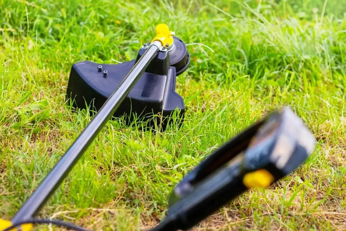 Głowica podkaszarki na trawie. Dowiedz się, jak założyć żyłkę do kosiarki, by Twój ogród znów był idealny.