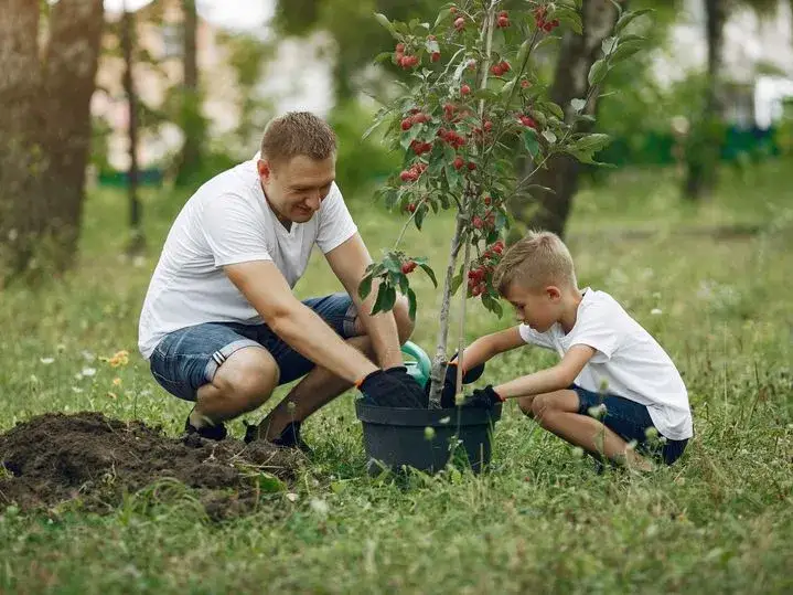 Jakie nawozy na wiosnę pod drzewa owocowe, aby uniknąć problemów z plonami