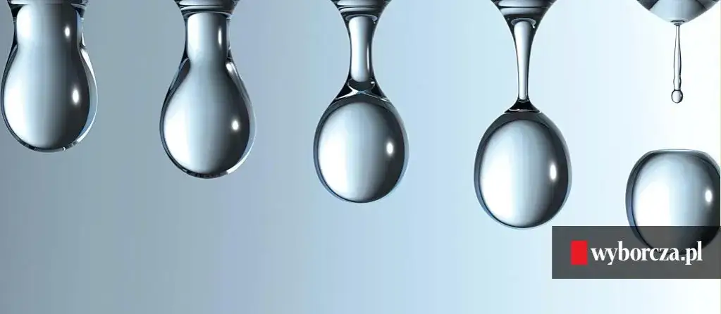 Piwo a nerki: Czy faktycznie "płucze"? Mity vs. fakty