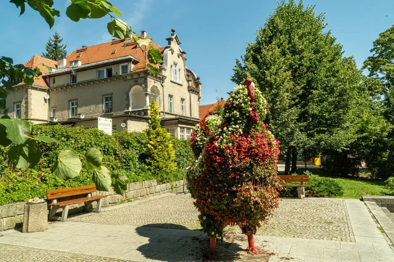Kwiatowa rzeźba pawia wita gości w Dusznikach Zdroju. W tle zabytkowa willa i bujna zieleń.