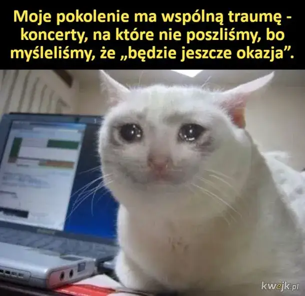 Memy o biodrówkach: Trauma Milenialsów i powrót Y2K