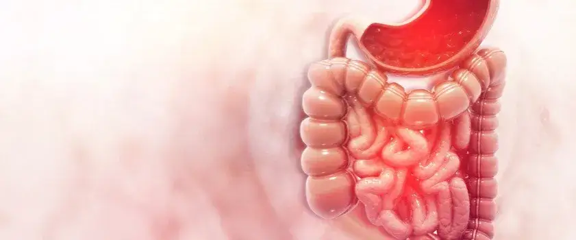 Jakie leki na grzyby w organizmie skutecznie pomagają w leczeniu?