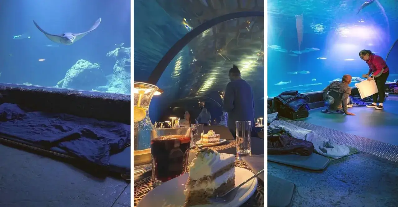 Afrykarium Wrocław: Gdzie spać? Najlepsze noclegi blisko ZOO