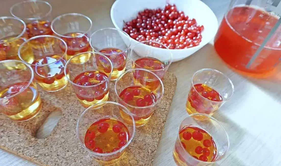 Deser z galaretki może być zdrową przekąską dla dzieci? 7 inspiracji