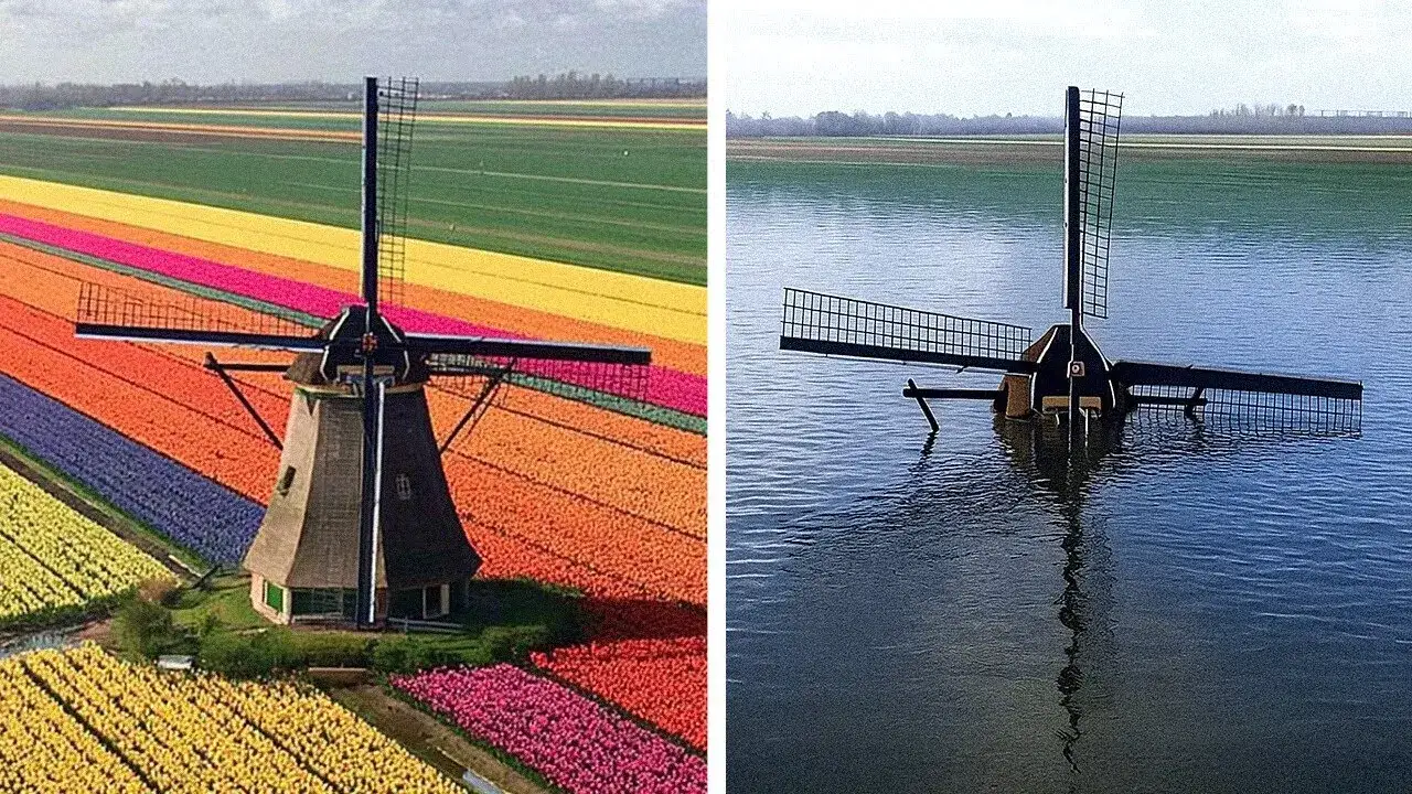 Czy Holandia ma dostęp do morza? Odkryj jego znaczenie dla kraju