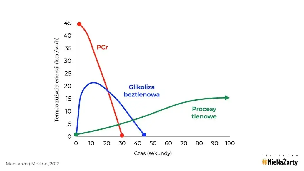 Kreatyna: Kiedy brać przed treningiem? Optymalny timing i dawkowanie