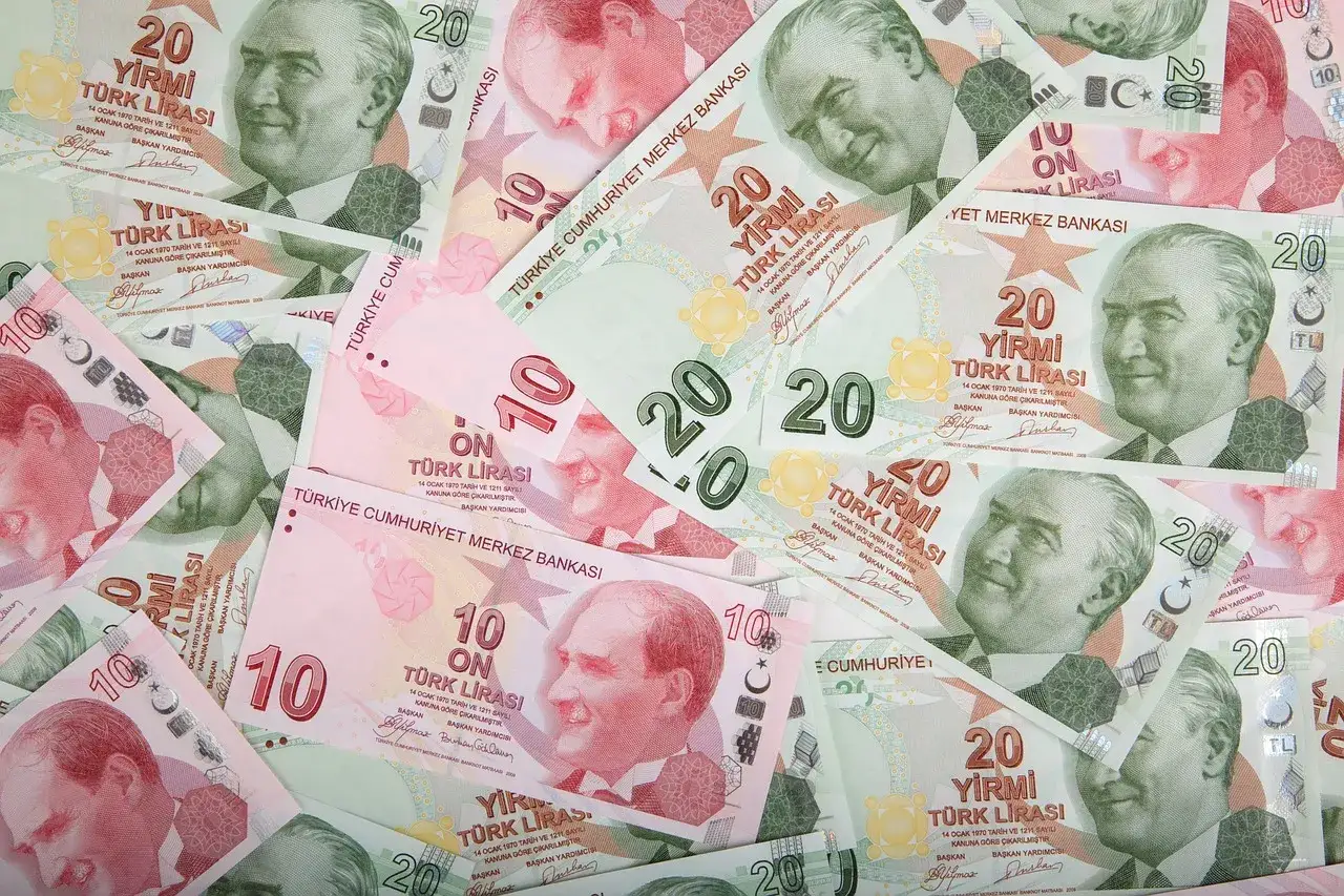 Turecka lira to waluta, jaką płacimy w Turcji. Widoczne banknoty 10 i 20 lir.