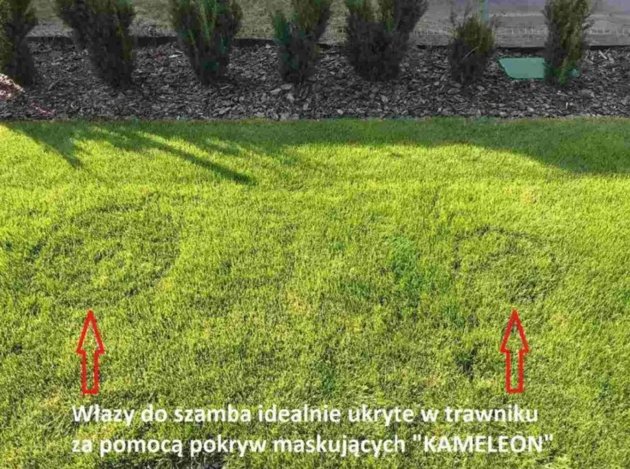 Niewidzialna oczyszczalnia: Ukryj ją, by ogród zachwycał!