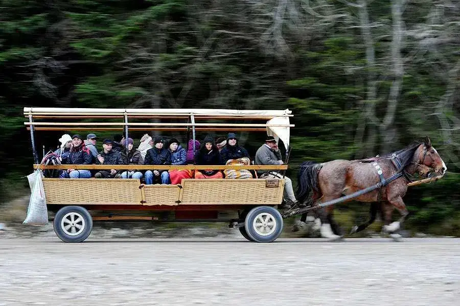 Koń z wozem: Siła tradycji i symbol polskiej wsi na przestrzeni lat