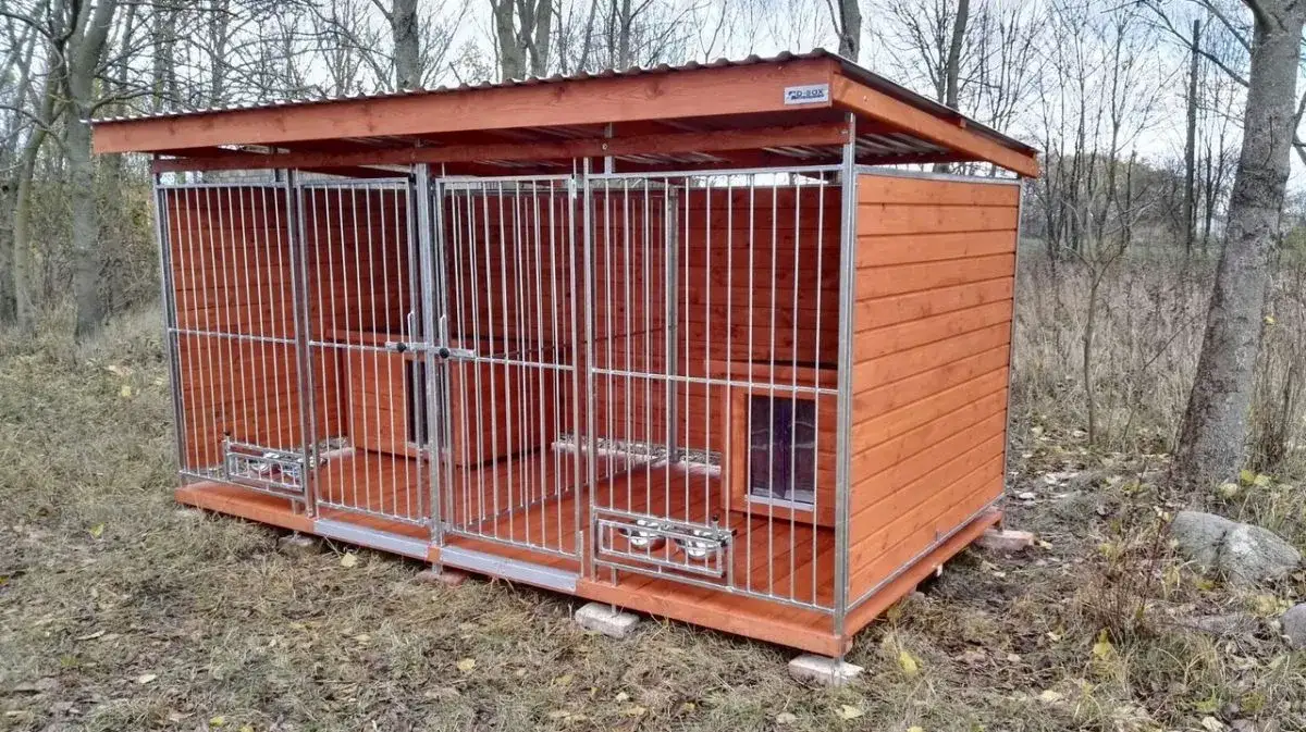 Ile kosztuje kojec dla psa? Ceny, które zaskoczą każdego właściciela