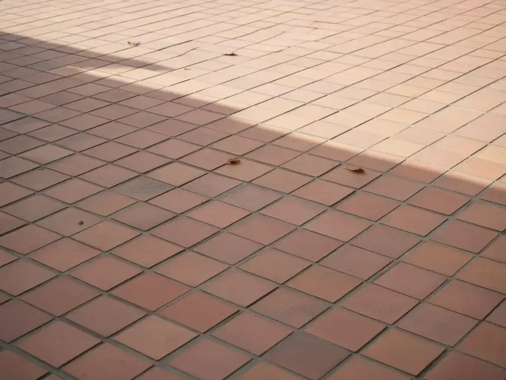 Jaką fugę na zewnątrz wybrać, aby uniknąć problemów z wilgocią?