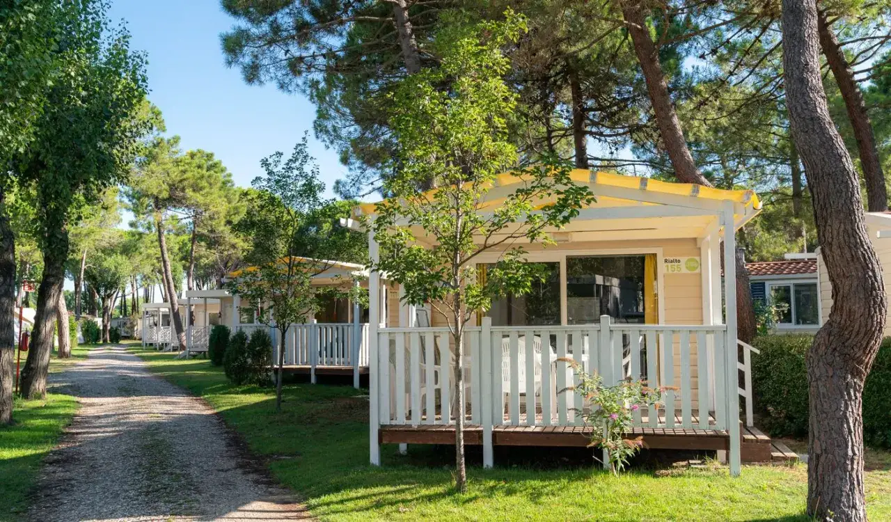 Uroczy camping Rialto z domkami letniskowymi w otoczeniu drzew.