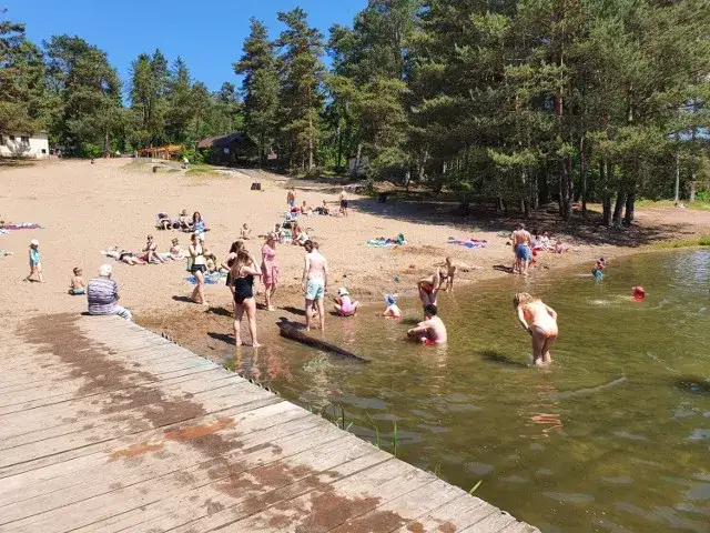Jezioro Borówno Wielkie - idealne miejsce na relaks i wędkowanie