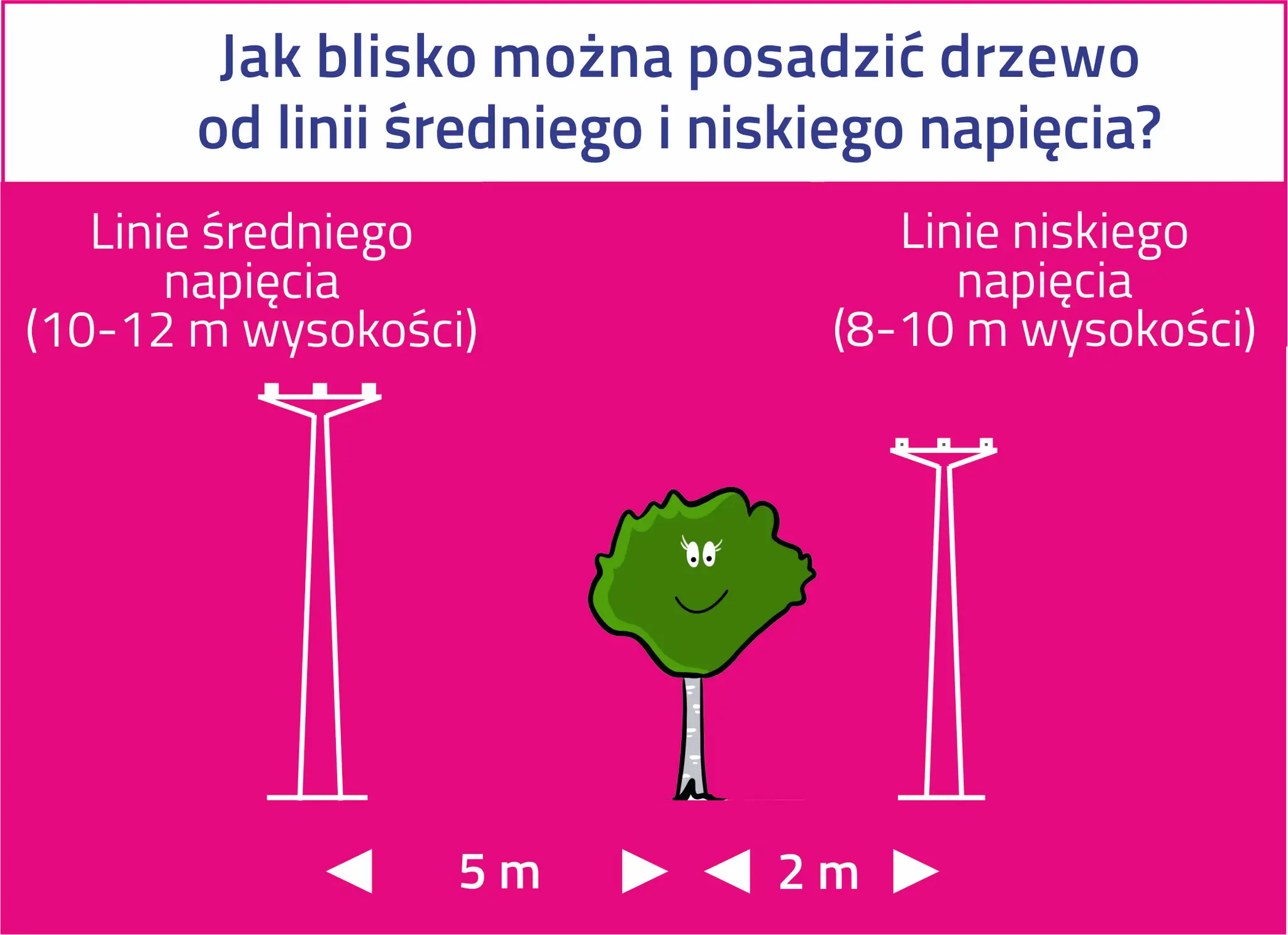 Ilustracja pokazuje, jak zachować bezpieczną odległość od linii energetycznych. Drzewo powinno być posadzone 5 m od linii średniego napięcia (10-12 m) i 2 m od linii niskiego napięcia (8-10 m).