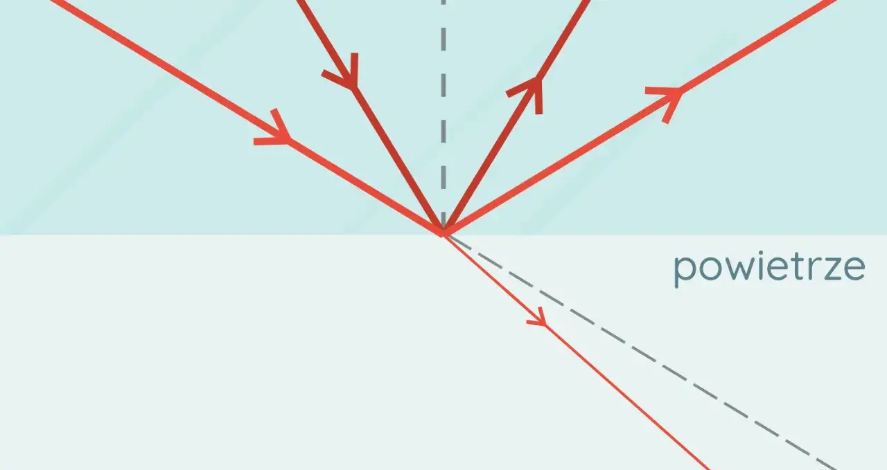 Na czym polega zjawisko łojotoku i jak sobie z nim poradzić skutecznie