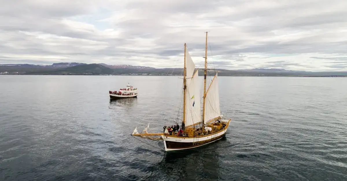 Żeglarz odkrywca: historia, najważniejsze postacie i ich osiągnięcia