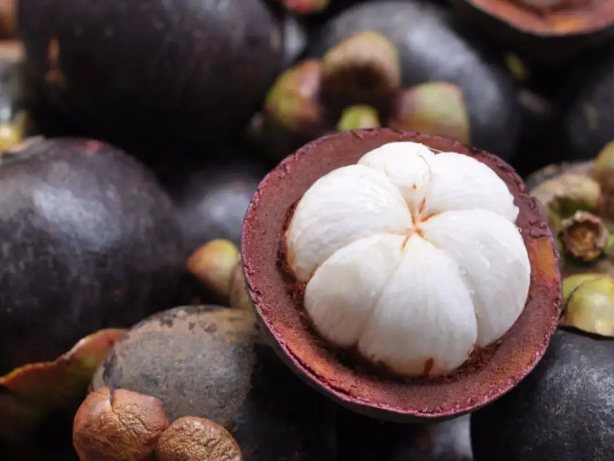 Suplemento de mangostán: ¿Realmente funciona? Guía completa