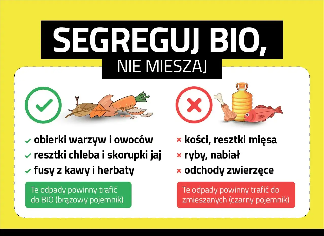 Gdzie wyrzucać resztki jedzenia? Obierki warzyw, fusy kawy i herbaty do BIO. Kości, ryby i mięso do zmieszanych.