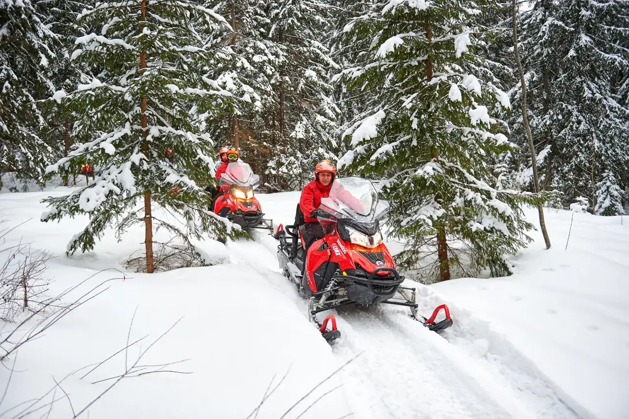 Dwie osoby na skuterach śnieżnych przemierzają zimowy las. Skutery śnieżne bukowina to świetna przygoda.