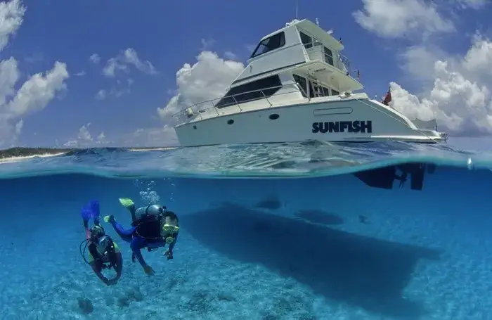 Kajmany: Gdzie leży raj Karaibów? Przewodnik dla nurków i turystów