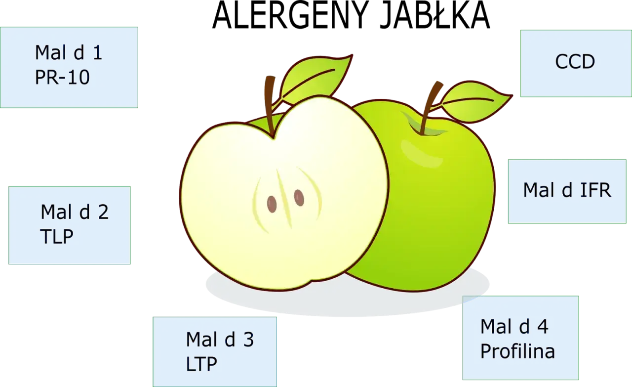 Alergia na jabłko u niemowląt: Jak rozpoznać i bezpiecznie podać?