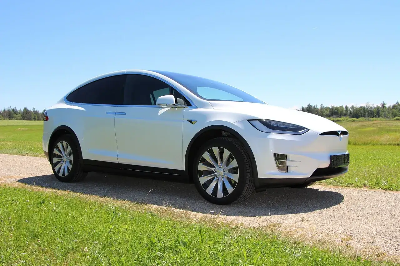 Biała Tesla Model X na tle łąki i lasu. Zastanawiasz się, ile kosztuje najtańsza Tesla?