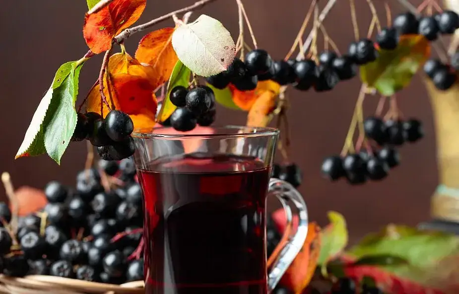 Jak zrobić sok z aronii - prosta receptura na pyszny i zdrowy napój