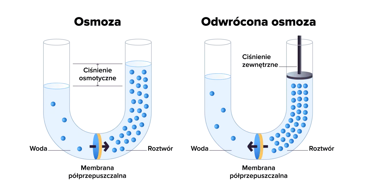 Ilustracja pokazuje, co to jest osmoza: przepływ wody przez membranę półprzepuszczalną z obszaru o niższym stężeniu do obszaru o wyższym stężeniu.