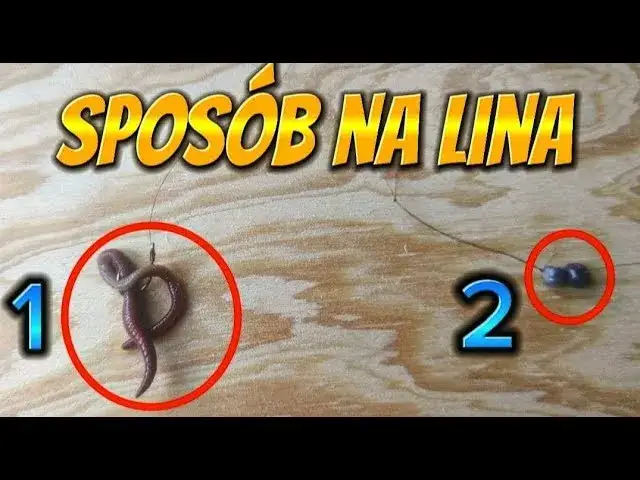 Jak założyć dżdżownice na haczyk, aby uniknąć błędów i złowić więcej ryb